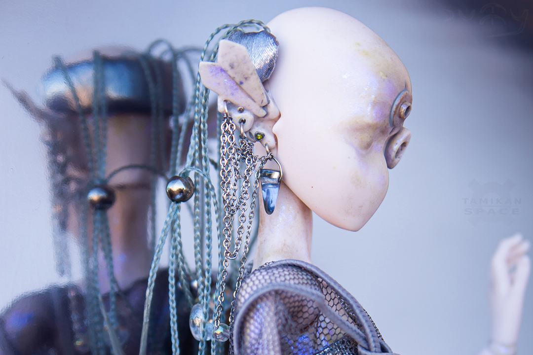 YOUR PREDICTIVE COMPANION