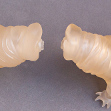 Tardigrades of special hazy and regular ClearlyRealistic tints