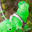 SuccuLettie Pet Tardigrade