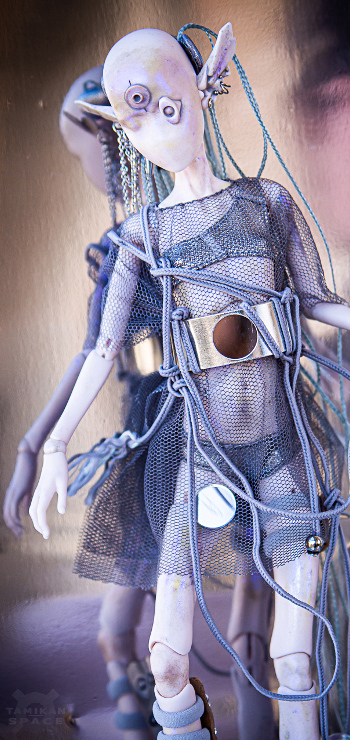 YOUR PREDICTIVE COMPANION